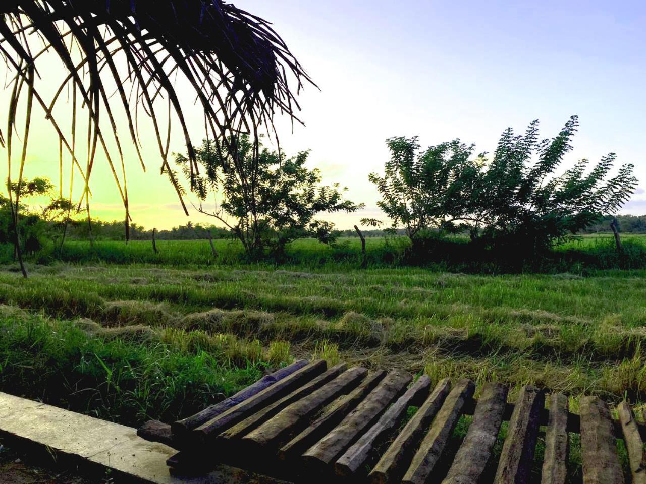 Athyantha Resort Anuradhapura Dış mekan fotoğraf