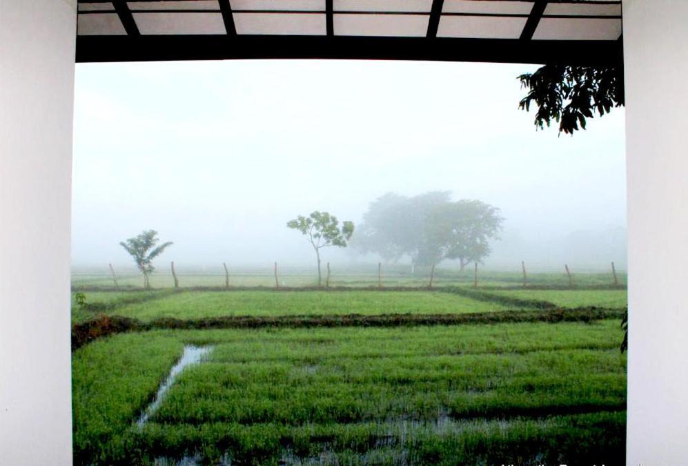 Athyantha Resort Anuradhapura Dış mekan fotoğraf